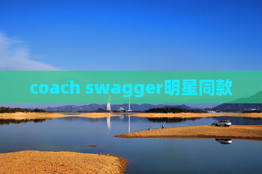 coach swagger明星同款